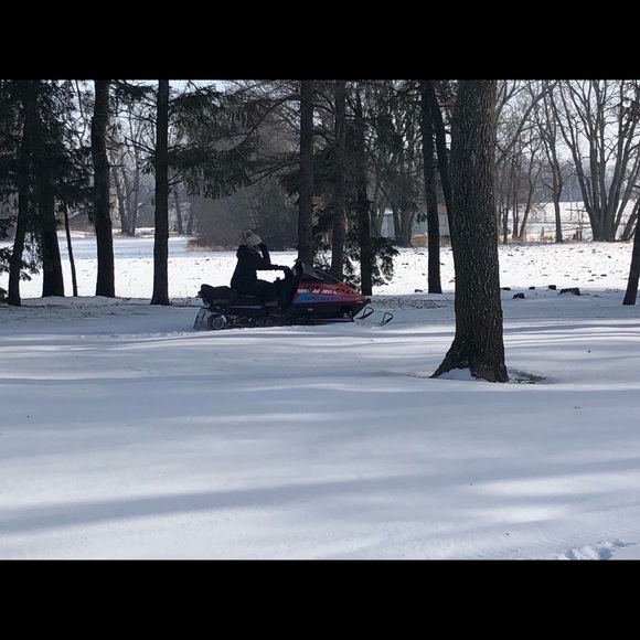 Meet your Posher, Jacqueline - Picture 1 of 1